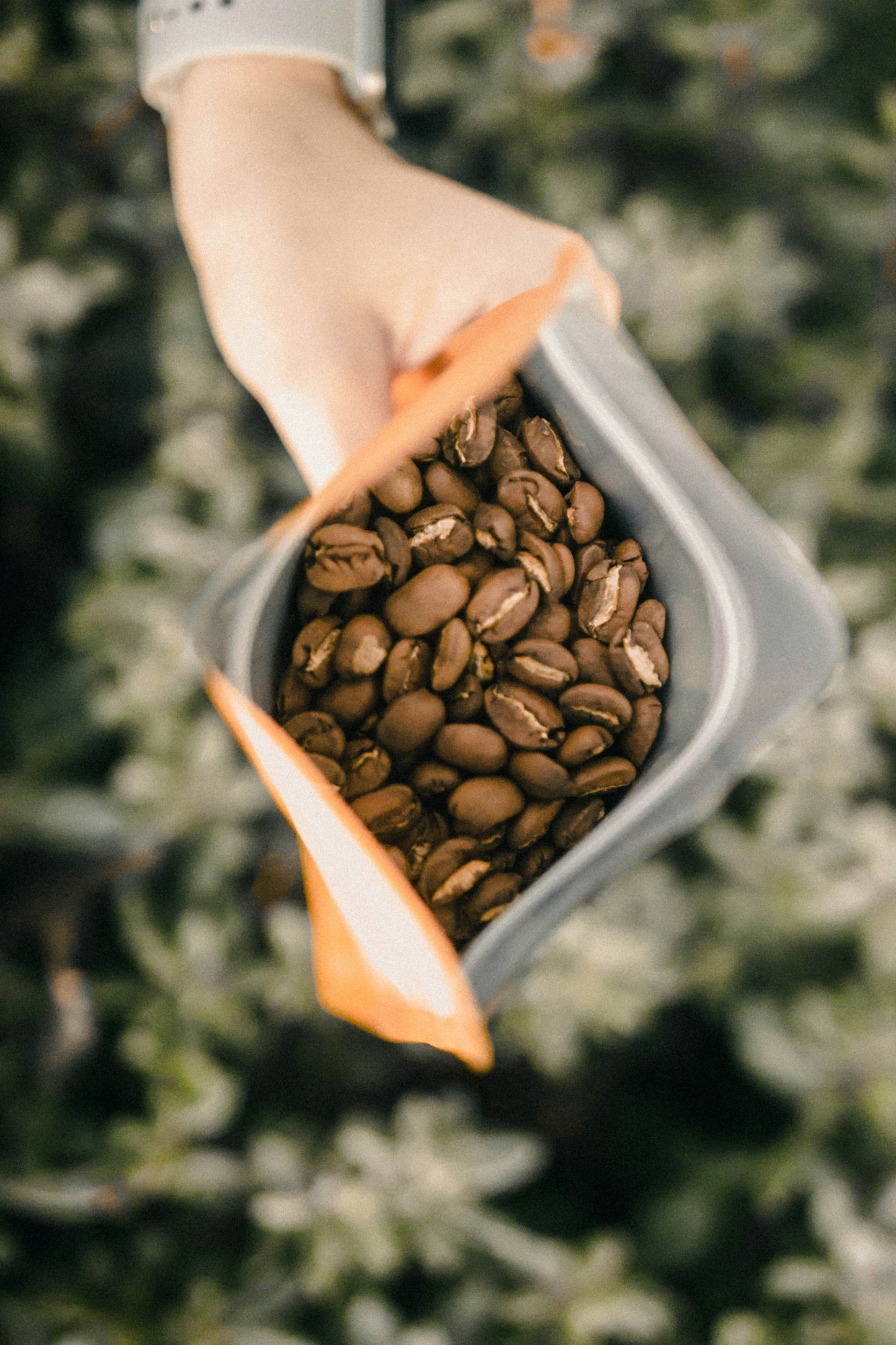 Volcanic Reserve Kona - Medium Roast