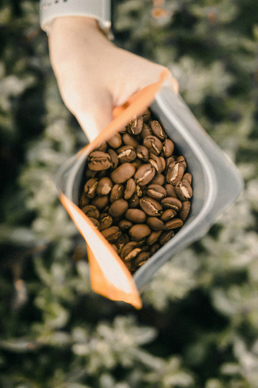Volcanic Reserve Kona - Medium Roast
